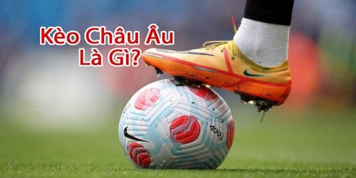 Hướng dẫn đánh 1x2 dễ dàng nhất với người mới