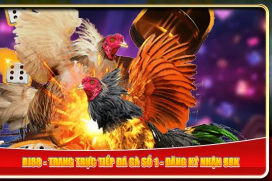 Lý do nên tham gia đá gà BJ88 trực tuyến