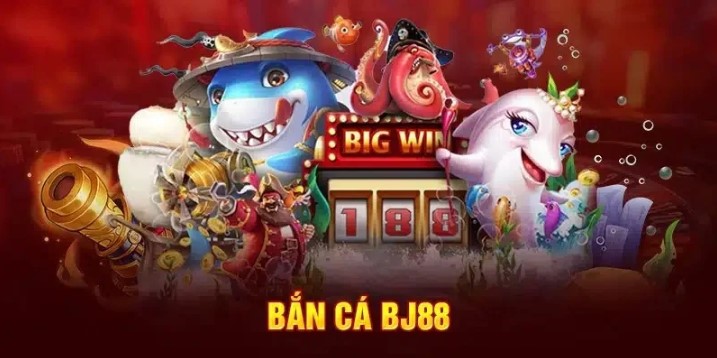 Tận hưởng thế giới đại dương với nhiều sinh vật sắc màu