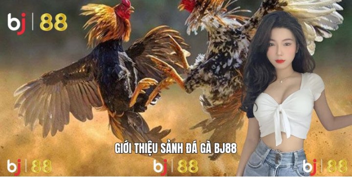 Thông tin chung về game đá gà BJ88